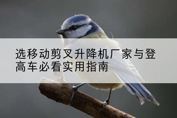 浦江电动升降机厂家-选移动剪叉升降机厂家与登高车必看实用指南