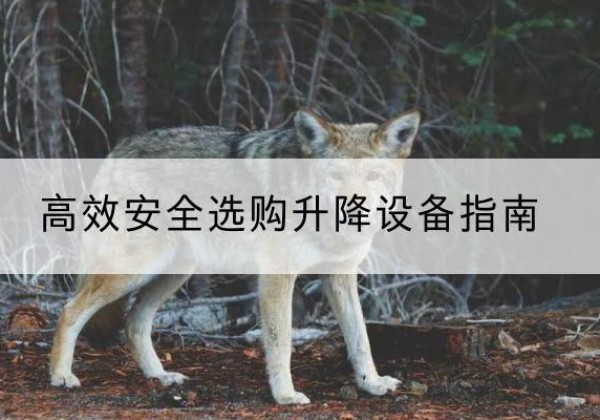 浦江升降货梯厂家推荐-*安全选购升降设备指南